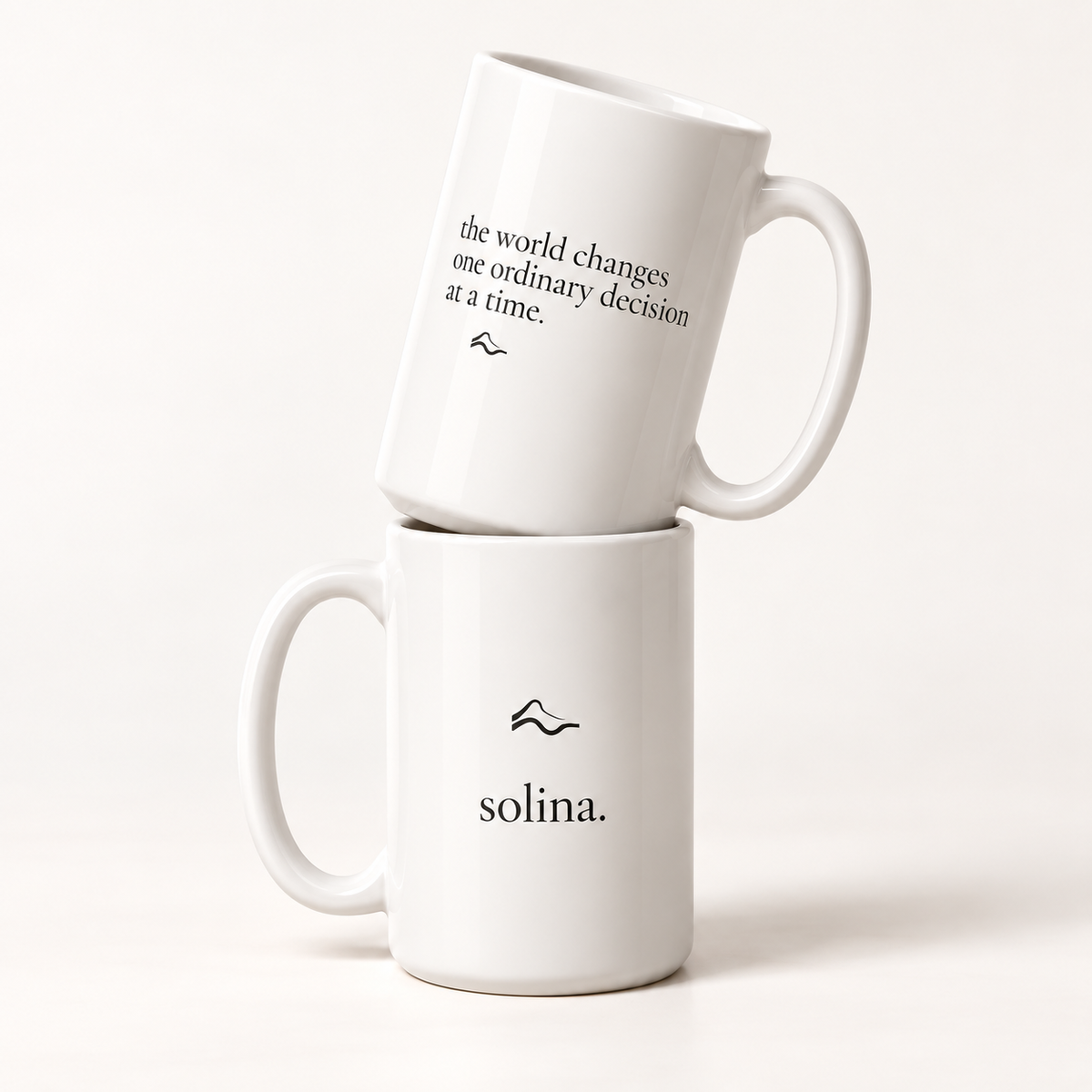 one ordinary decision — mug